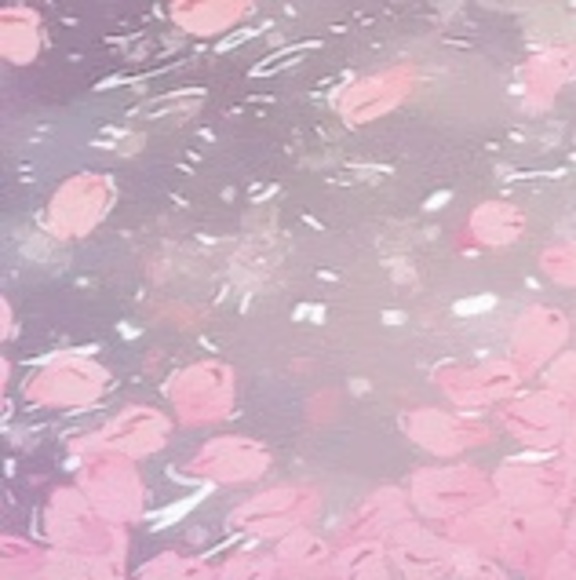 Meet your Posher, Talia - Picture 1 of 1